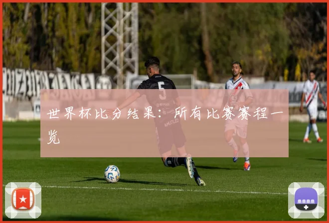 世界杯比分结果：所有比赛赛程一览