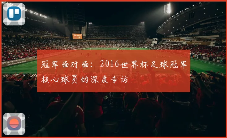 冠军面对面：2016世界杯足球冠军核心球员的深度专访