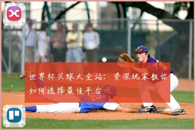 世界杯买球大全站:资深玩家教你如何选择最佳平台