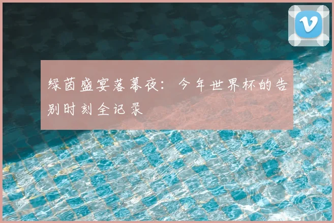 绿茵盛宴落幕夜：今年世界杯的告别时刻全记录