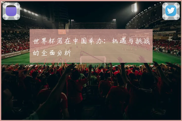 世界杯若在中国举办：机遇与挑战的全面分析