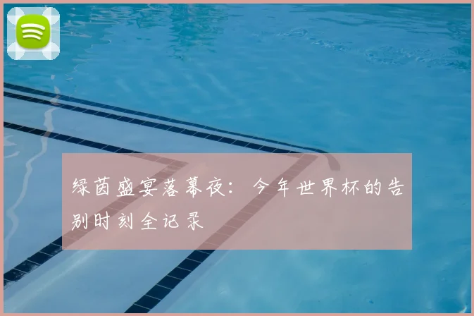 绿茵盛宴落幕夜：今年世界杯的告别时刻全记录