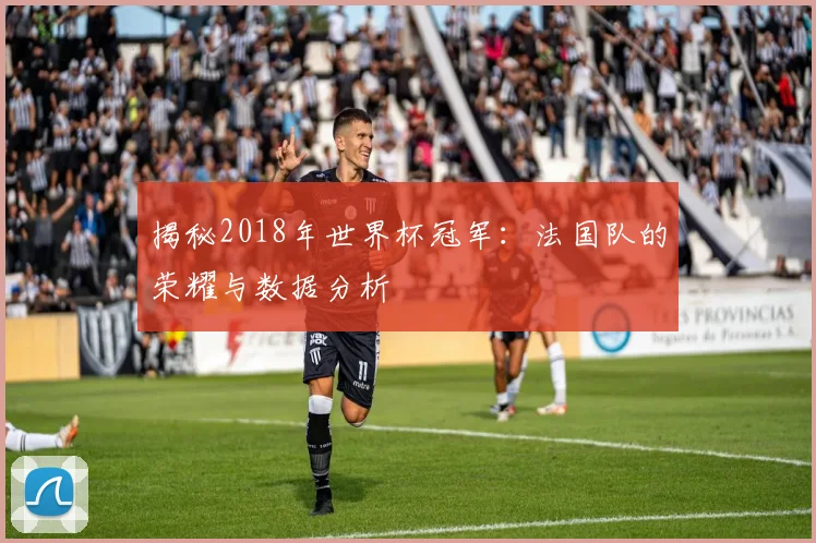 揭秘2018年世界杯冠军：法国队的荣耀与数据分析