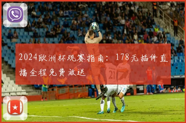 2024欧洲杯观赛指南：178无插件直播全程免费放送